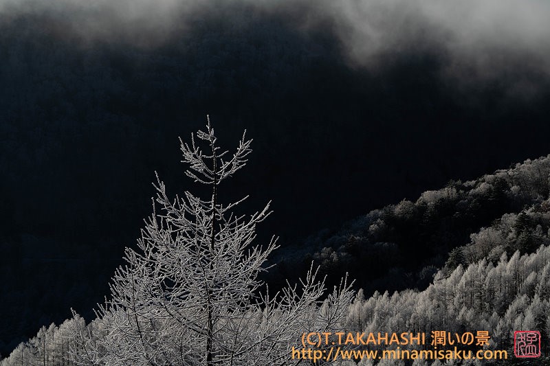 ../Images/7R251129 (105).jpg